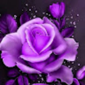 Meet your Posher, Kristina